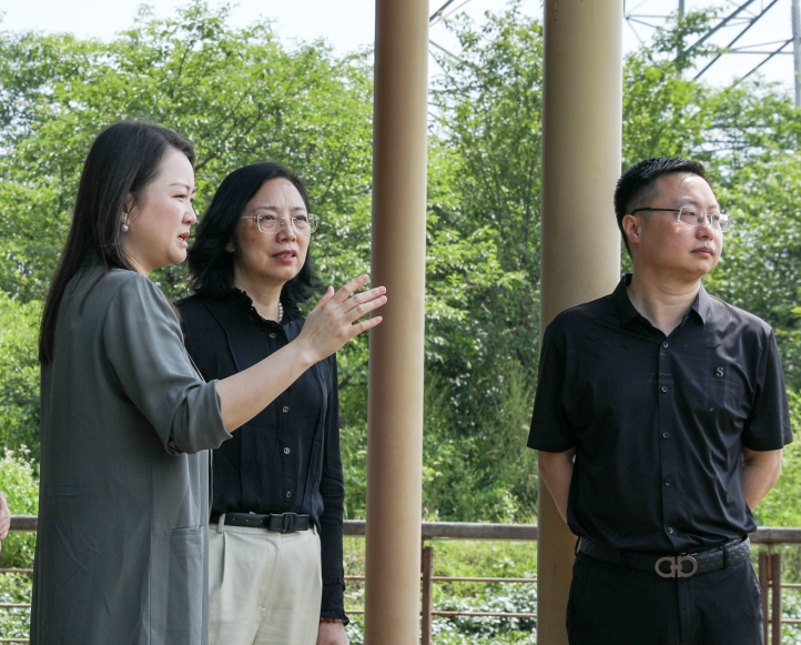 省農業(yè)農村廳副廳長(cháng)徐燕峰調研浙茶集團